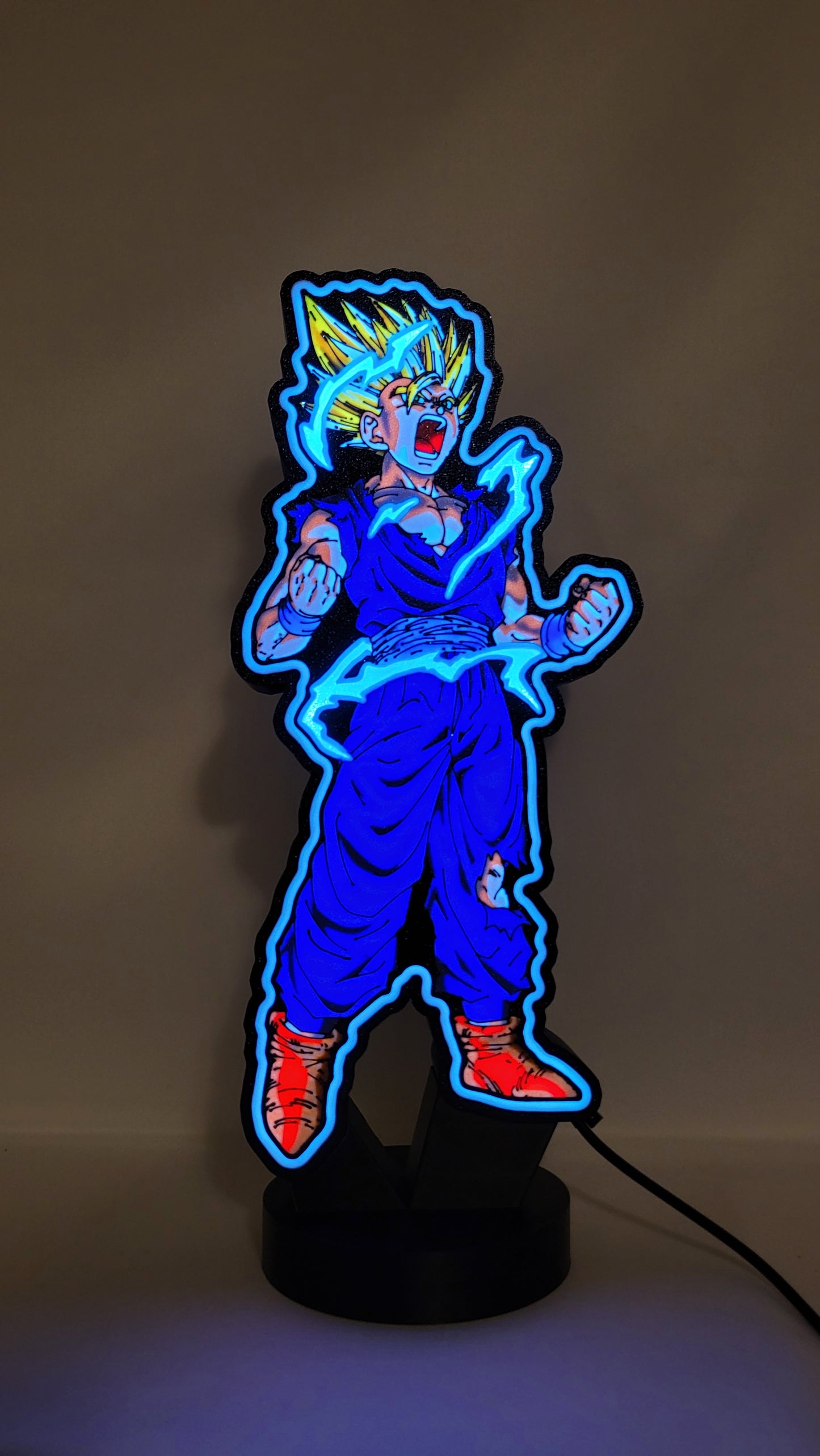 Custom 3D Printed Light Display